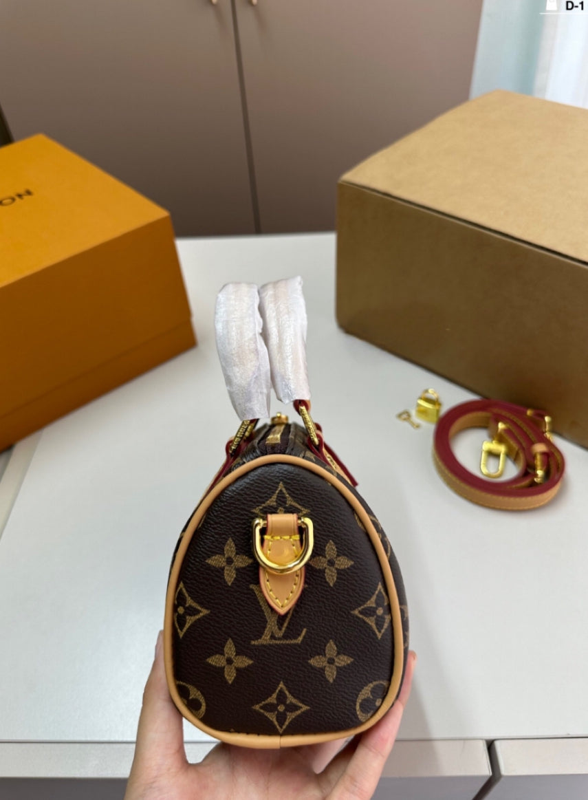 louis V speedy bag