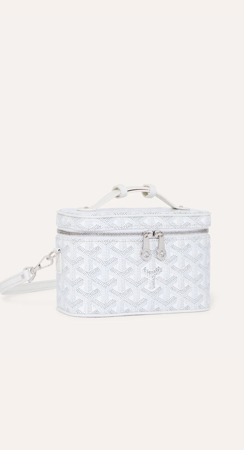 Goyard muse mini vanity bag