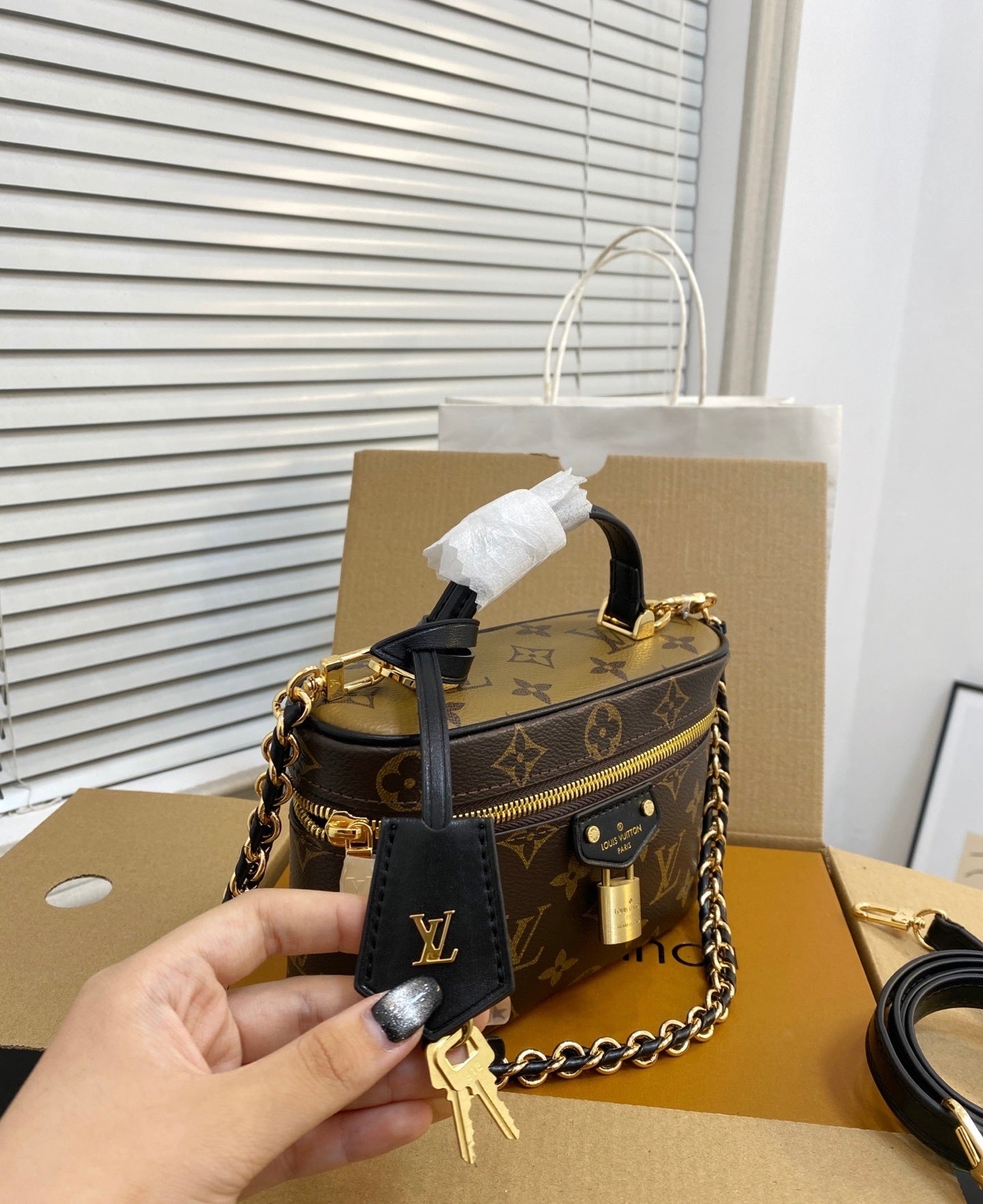 louis vanity bag