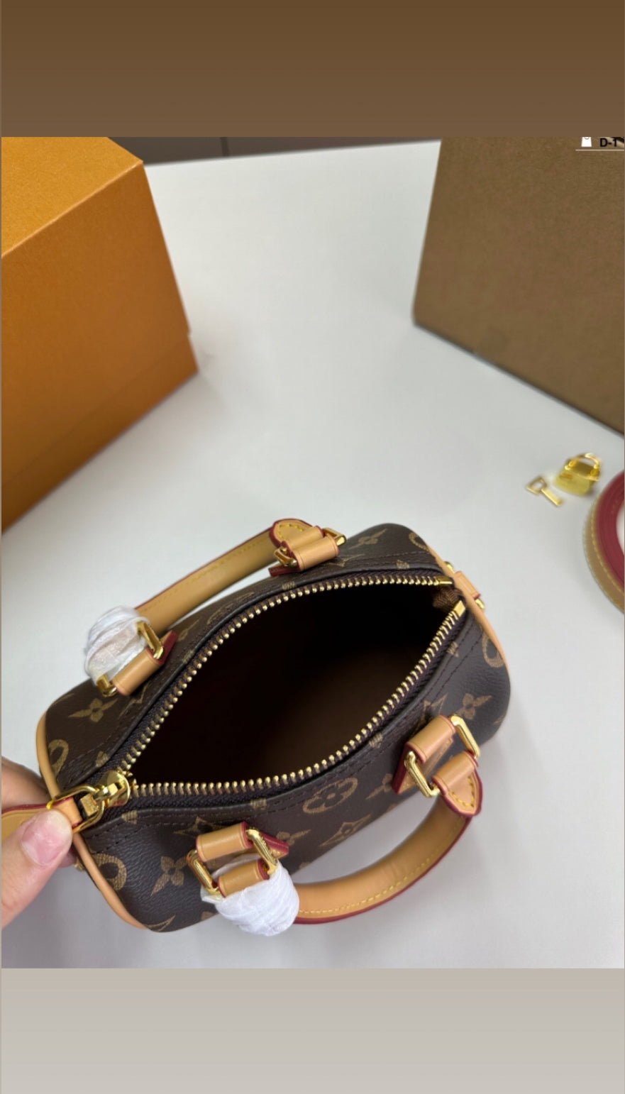 louis V speedy bag