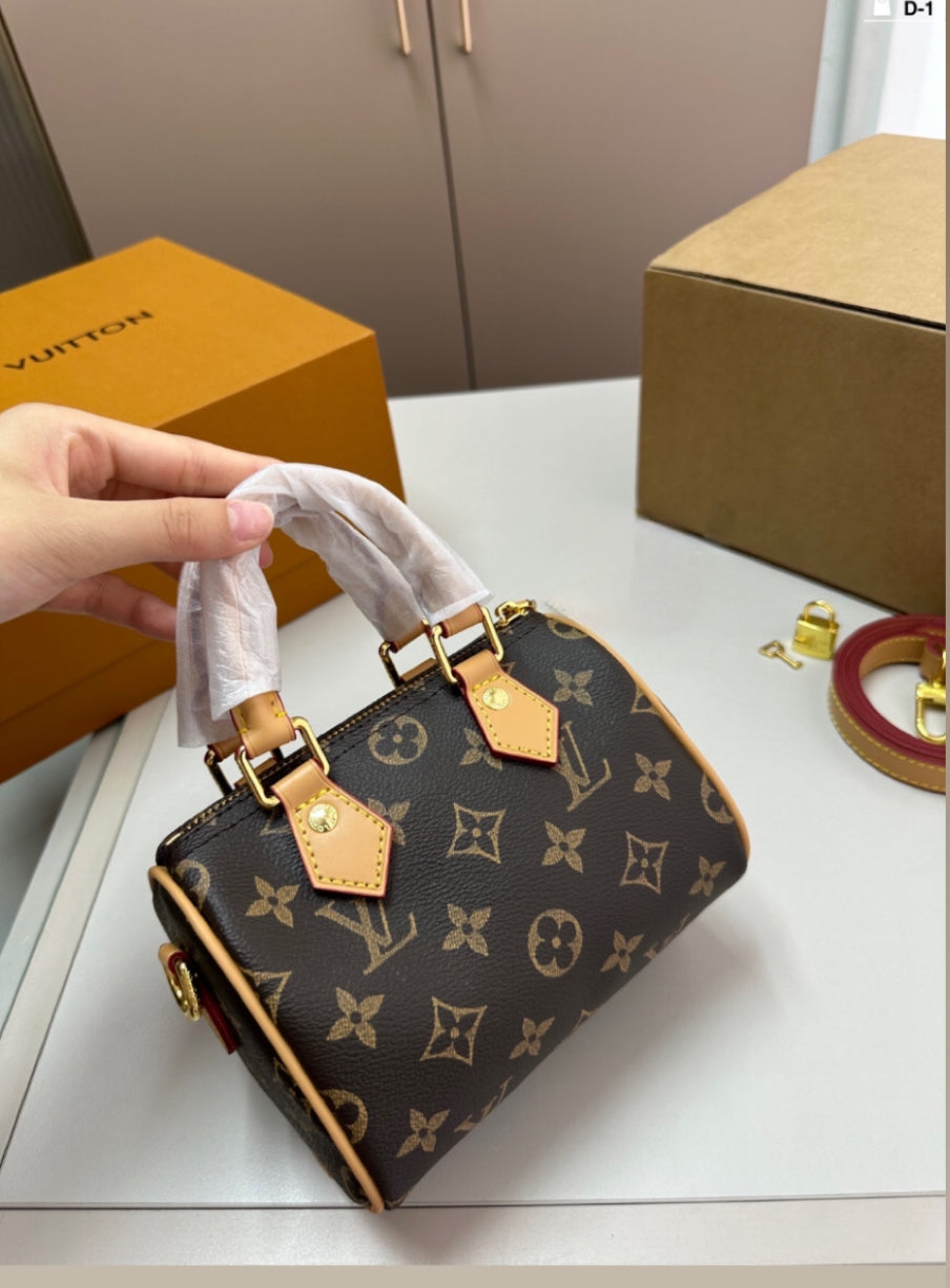 louis V speedy bag