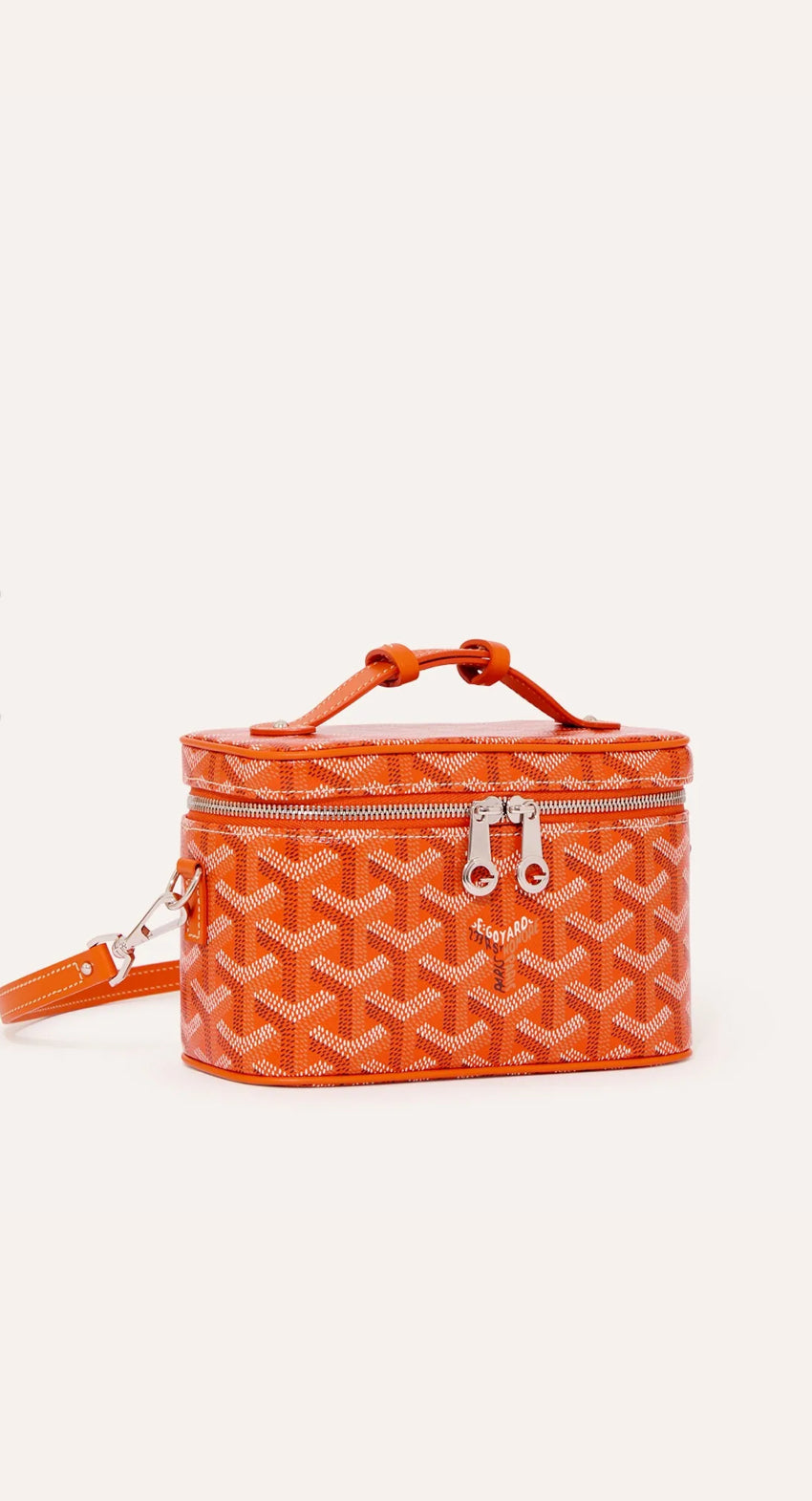 Goyard muse mini vanity bag